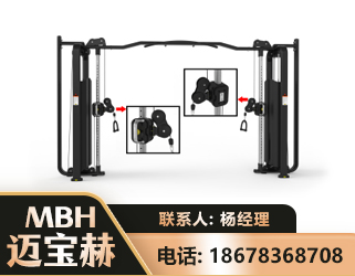 烟台大飞鸟训练器